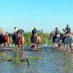 Graves inundaciones en el norte de Santa Fe: productores mueven el ganado y crece la preocupación por El Niño