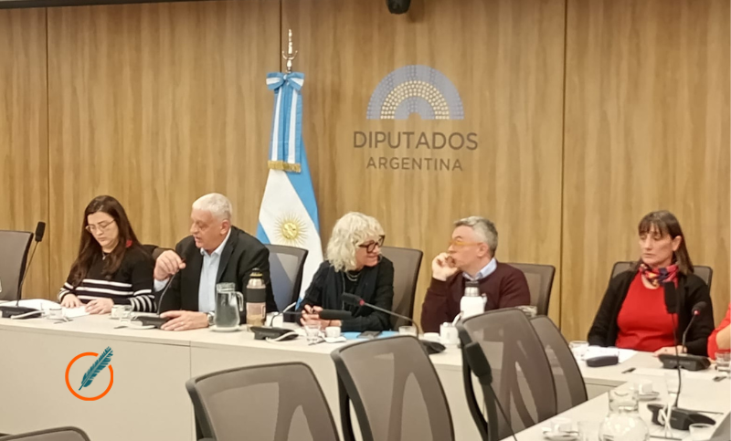 La Comisión de Derechos Humanos de Diputados denunció “represión” y apuntó contra Monteoliva