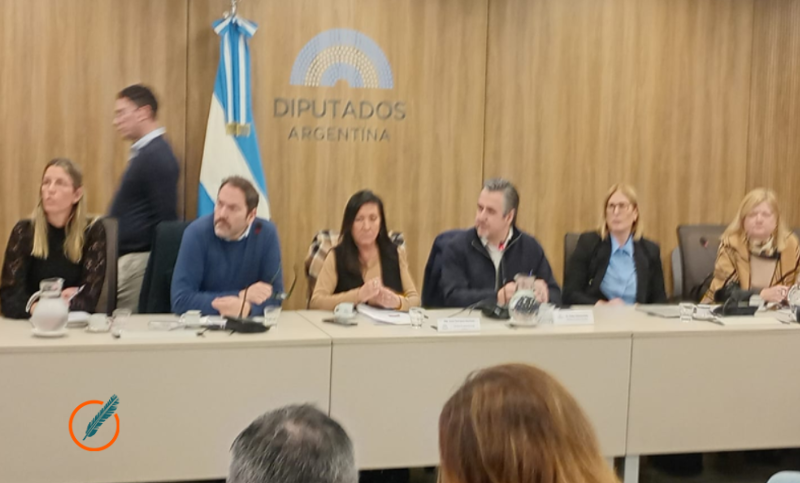 Cococcioni respaldó una reforma para ampliar las competencias provinciales en casos de narcomenudeo