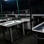 La capacidad instalada de la industria se ubicó en 59,1% en junio: textil y automotriz, entre los sectores a la baja