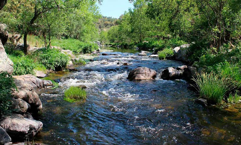 Soberanía nacional: más del 81% de los argentinos exige mantener el control sobre los recursos naturales del país