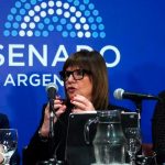 El Gobierno y una derrota clave en el Senado: dio de baja el capítulo de Ley de Tierras