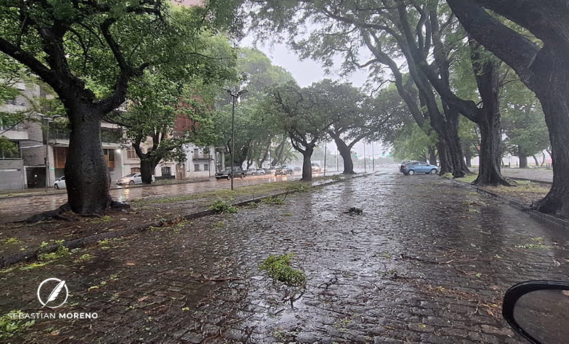 Ráfagas de hasta 83 km/h provocaron más de 170 reclamos por árboles caídos, columnas dañadas y voladuras en Rosario