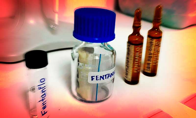 Fentanilo contaminado: la ex titular de Anmat ampliará su declaración este lunes