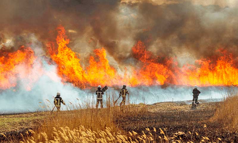 España sufrió la pérdida de más de 240.000 hectáreas por incendios forestales