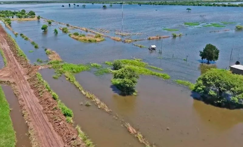 Fenómeno de El Niño: ¿qué es el Ropeca, la “ronda de negocios virtual” que lanzó Santa Fe?