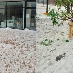 Feroces tormentas en Santa Fe: reportan granizo y fuertes ráfagas de viento en Las Rosas y San Genaro
