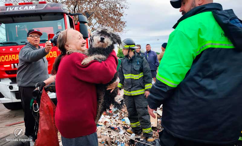 Emoción en Tablada: un perro fue rescatado tras haber caído a un pozo, donde permaneció tres días