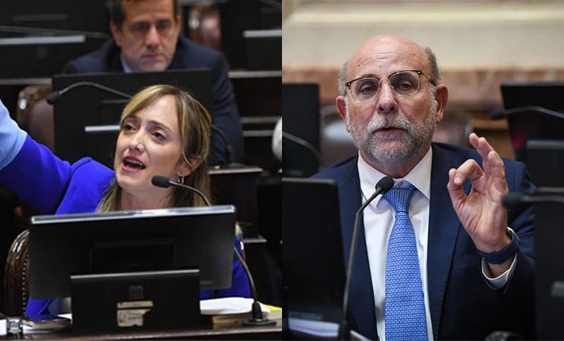 El Senado finalmente negó el voto remoto de Fernández Sagasti y Fama