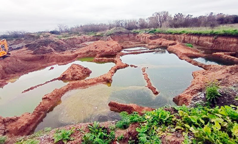Frenaron excavaciones ilegales en la zona oeste y hallaron un jabalí encerrado
