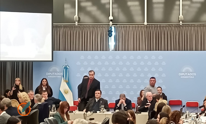 Diputados: el oficialismo logró dictamen de su proyecto y la oposición insistirá con la prórroga de la emergencia