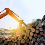 La industria forestal en alerta por caída del consumo, freno de obra pública y aumento de costos: «El ajuste se hizo por las pymes»