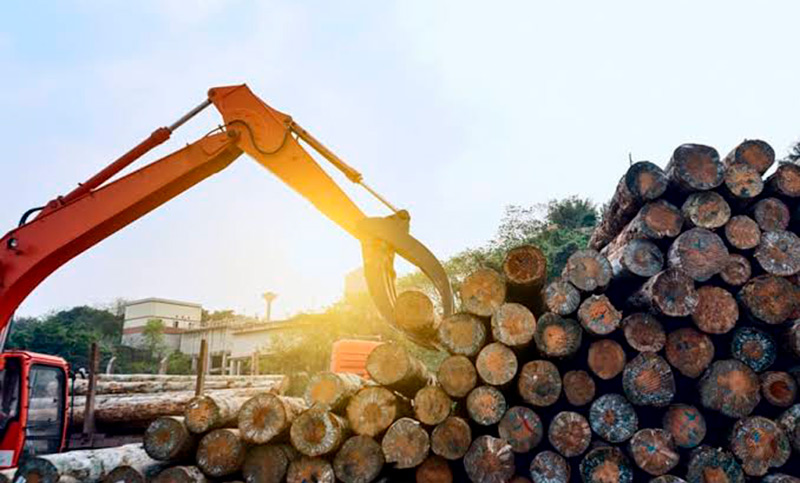 La industria forestal en alerta por caída del consumo, freno de obra pública y aumento de costos: «El ajuste se hizo por las pymes»