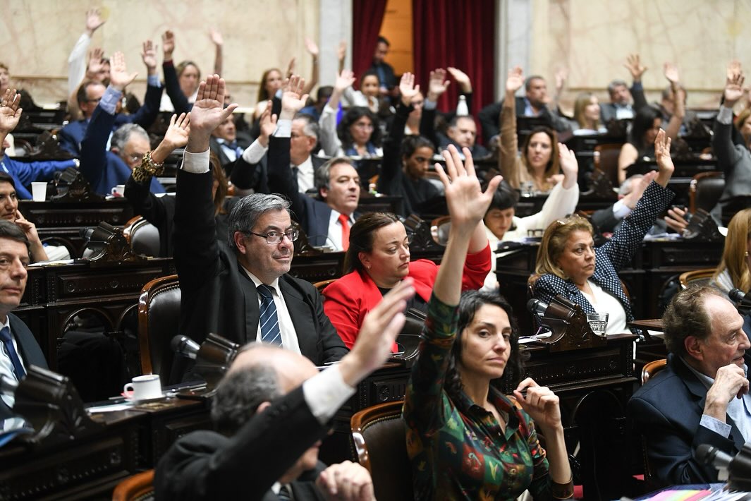 Diputados de Unión por la Patria cuestionaron ante el FMI el Presupuesto 2027