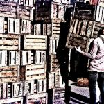 Precarización laboral: el 45% de los trabajadores no cuenta con aportes jubilatorios