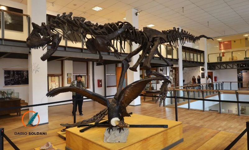 El Carnotauro te espera: el Museo Ángel Gallardo reabre sus puertas el próximo viernes