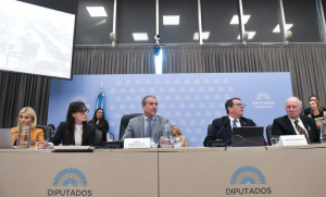 Carlos Guberman presentó el Presupuesto 2027 y defendió las proyecciones del Gobierno