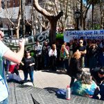 Docentes universitarios preparan un paro regional junto a otros gremios para rechazar el ajuste de Milei