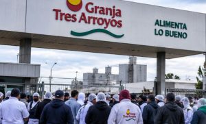 Granja Tres Arroyos ratificó 1.250 despidos: fracasó la conciliación y la Justicia frena sus activos por deudas de USD 350 millones