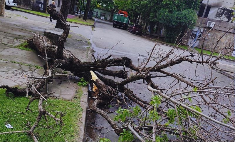 El temporal dejó 93 incidencias en Rosario y continúa el alerta meteorológico para la noche