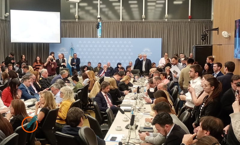 Diputados: Ibarzábal Murphy defendió proyecto de soberanía y abrió la puerta a una comisión bicameral