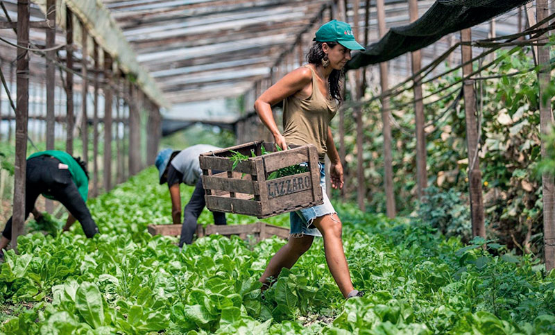 Paritaria rural: el básico del peón general supera los $1,2 millones de pesos en octubre
