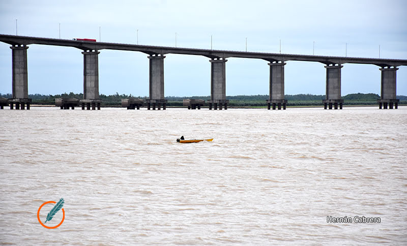 Crecida del Paraná: anticipan que hacia fines de octubre podría superar los 4 metros y piden extremar las precauciones