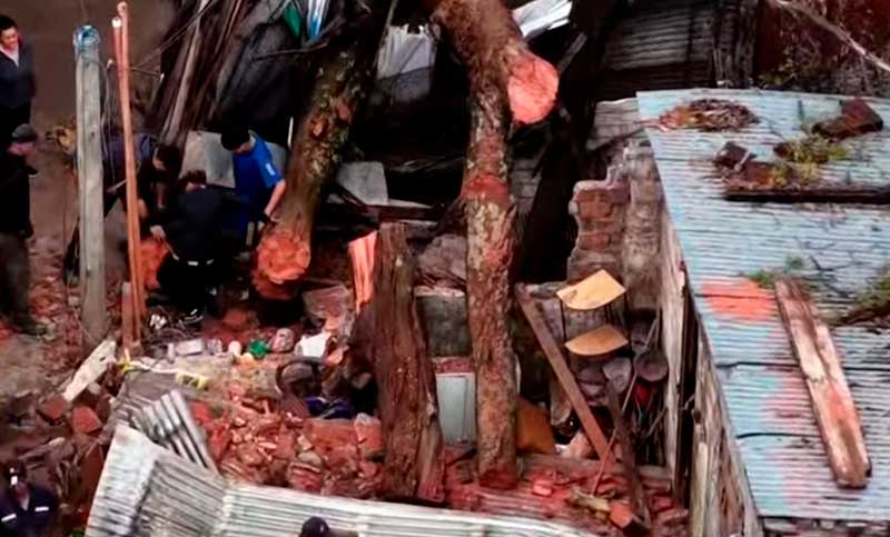 Desastre un Villa Banana: un árbol de gran porte destruyó una vivienda en la que dormían una mamá con sus tres hijos