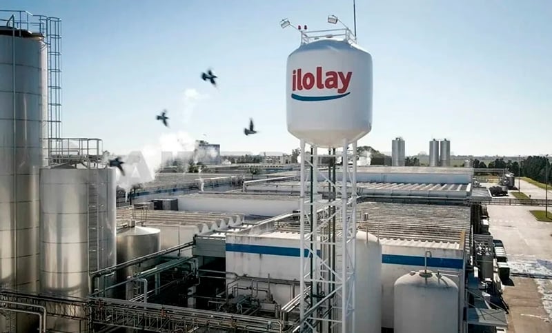 Crisis láctea: la francesa Savencia anunció el cierre de su planta en El Trébol y hay 300 tambos menos